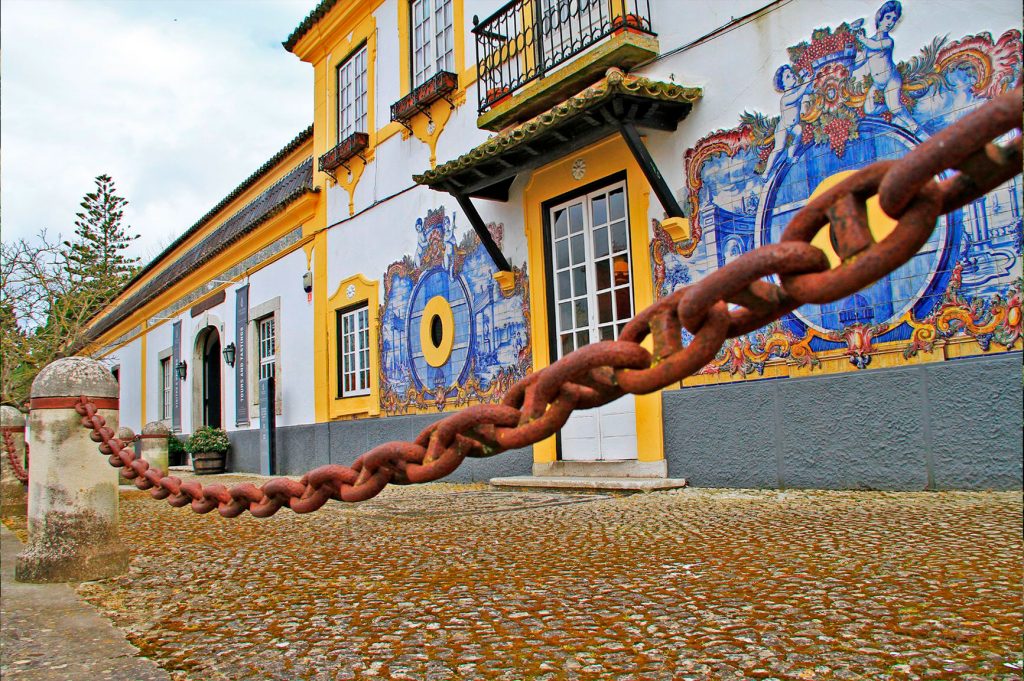 Enoturismo com calma