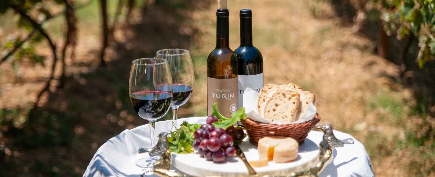 Azeitão's wine experience