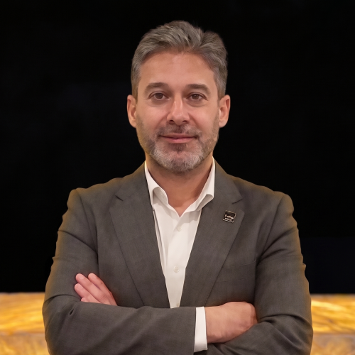 MENDES DA SILVA