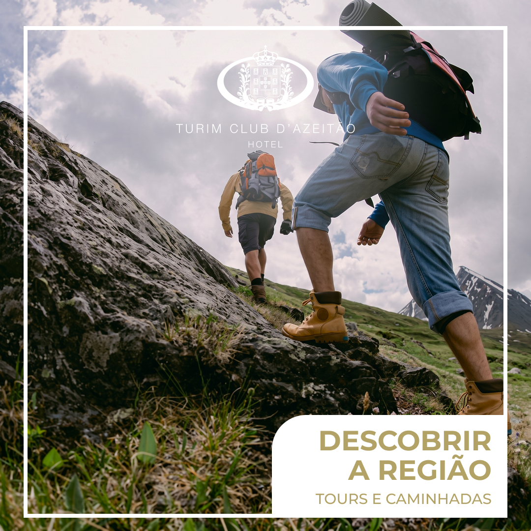 Atividades à descoberta da região